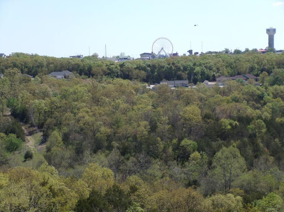 דירות בראנסון The Vista מראה חיצוני תמונה
