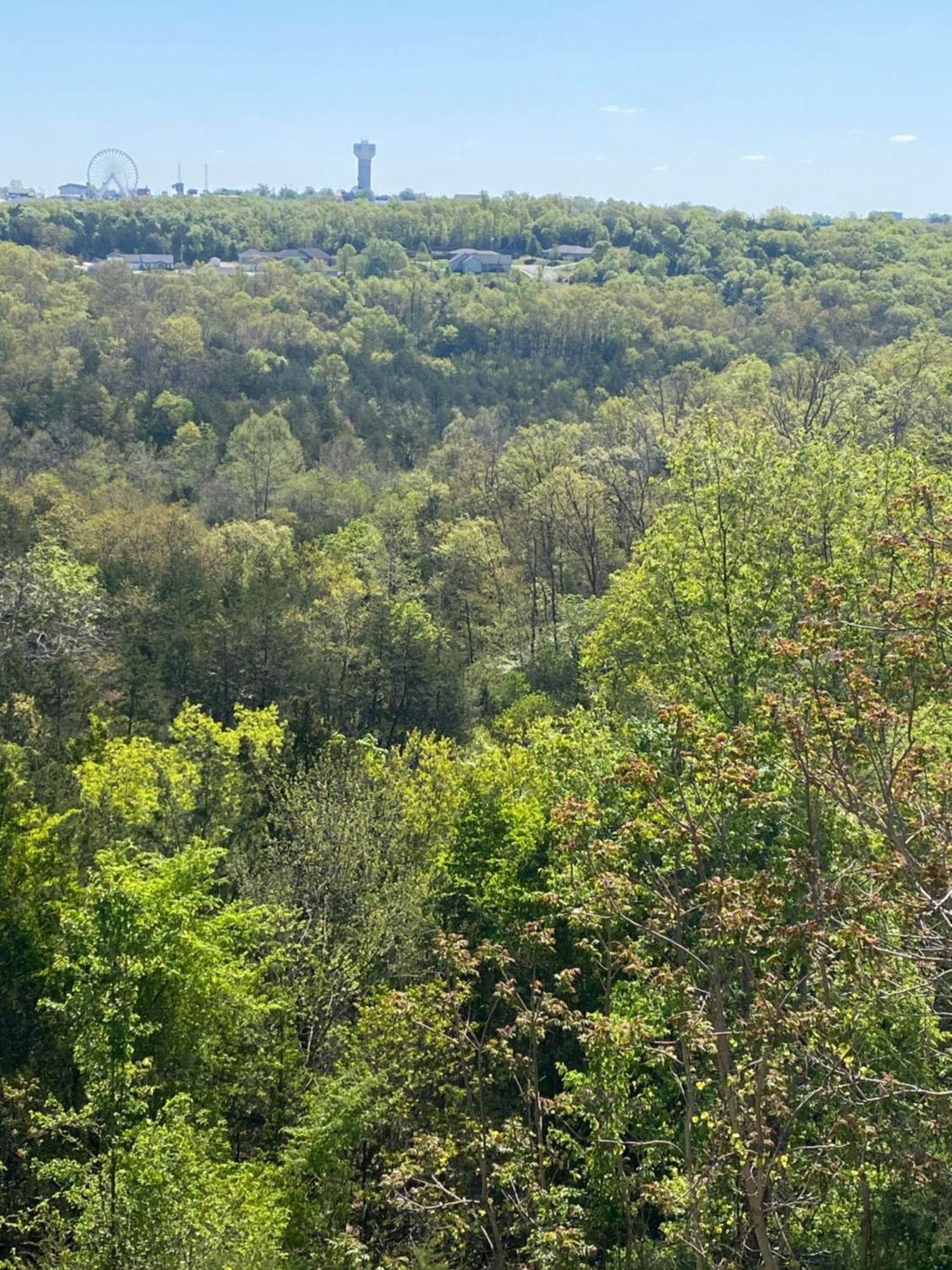 דירות בראנסון The Vista מראה חיצוני תמונה